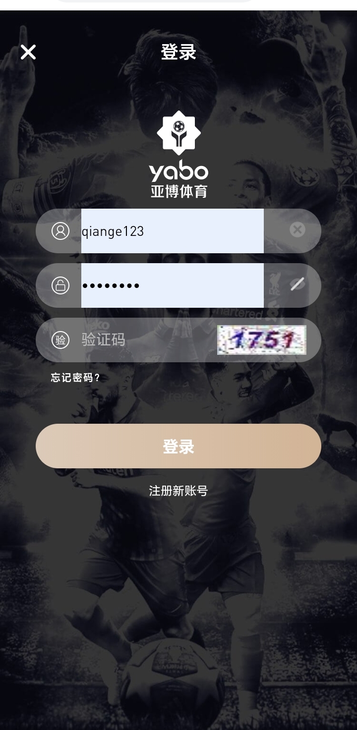 详情图片